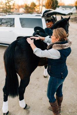 Performance evaluations are key to maintaining horse health