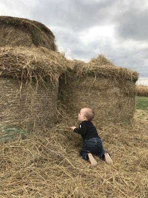 Hay bales to climb