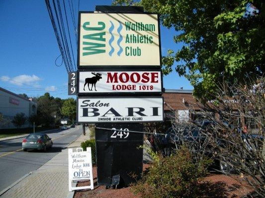 The New Moose at 249 Lexington Street, Waltham, MA