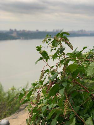 Rockefeller Lookout