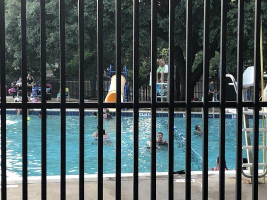 Public swim. I question the lifeguard's credentials.