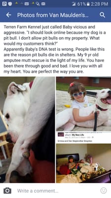 "I need to go online and look at pictures. Get it off my property." Apparently my dog is a pitbull. The US Navy and DNA beg to differ.