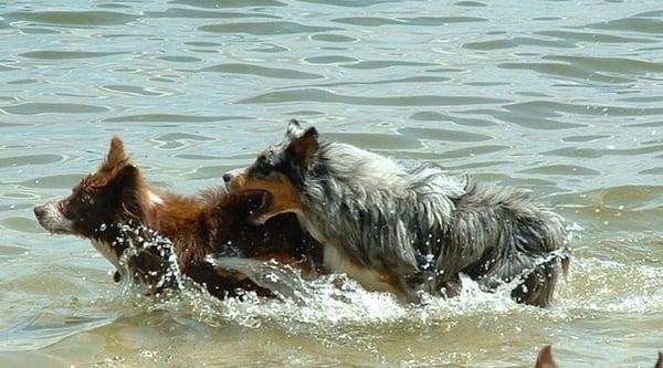 My girls enjoying the water!