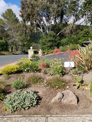 Beautiful inviting landscaping upon entering our venue.