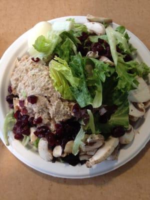 Tuna salad with egg and cranberries