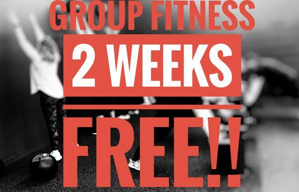 Free 2 week trial!