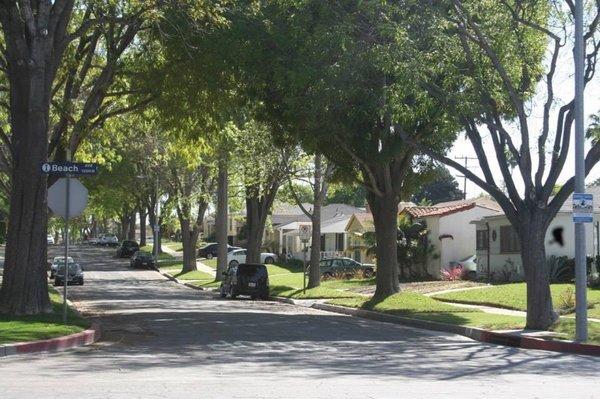 View of our street