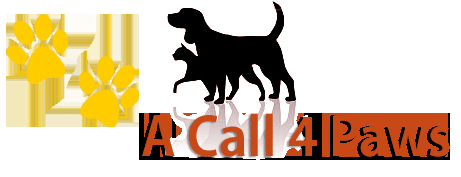 A Call 4 Paws