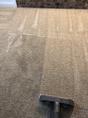 Helping your carpet looks nice again