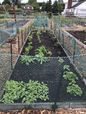 Fencing is put in place