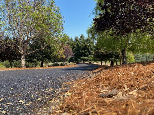 Residential Asphalt Paving - Arroyo Grande