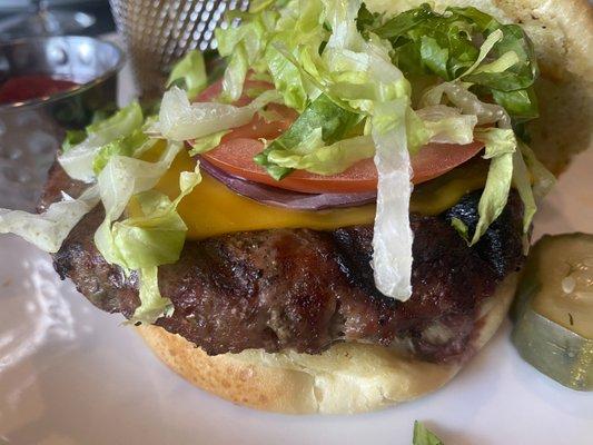 Great burger and fries.