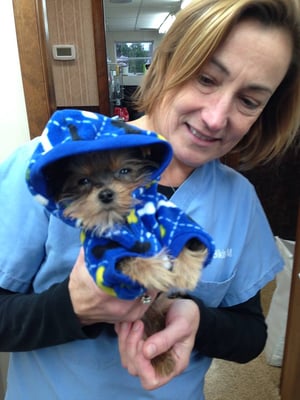 Dr. Melanie Bikis showing off her cute patient "Gus".