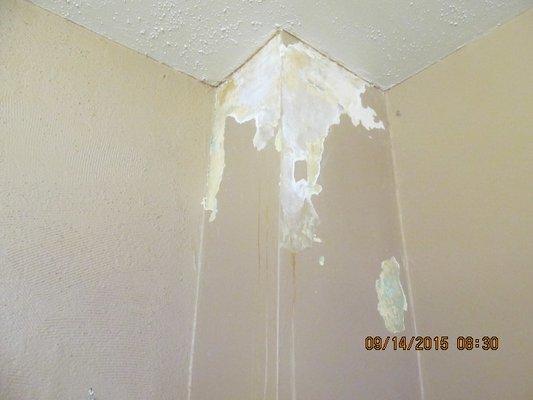 Paint peeling from Water Damage. Before Photo.