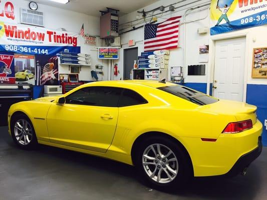 LQ Window Tinting