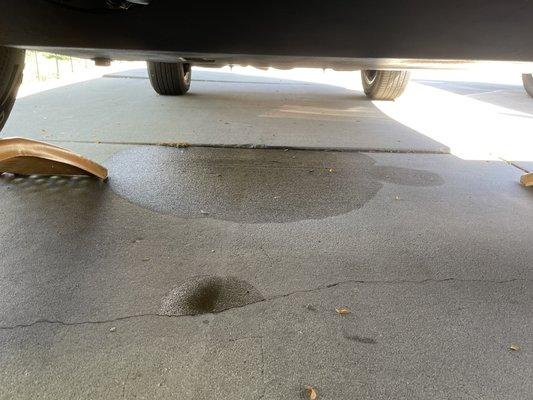 Oil leak