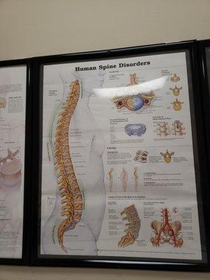 Central Florida Spine Institute