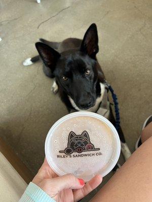 The cutest logo on the peanut butter and pumpkin treat!