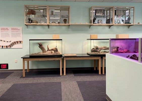 Living Lab: lots of exhibits with live animals