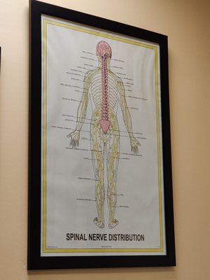 Charlotte Chiropractic Center