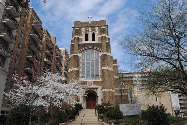 The front of Augustana Lutheran Church with blooming cherry blossom tree.