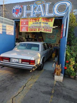 Halo Smog Check