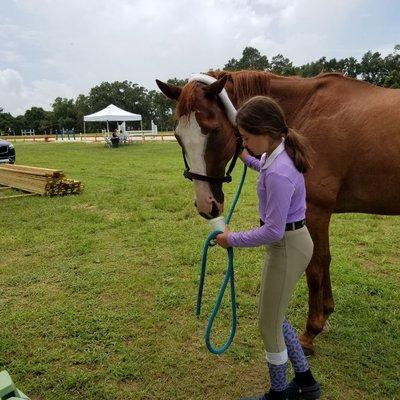 Horses love Dog Daze Shave Ice