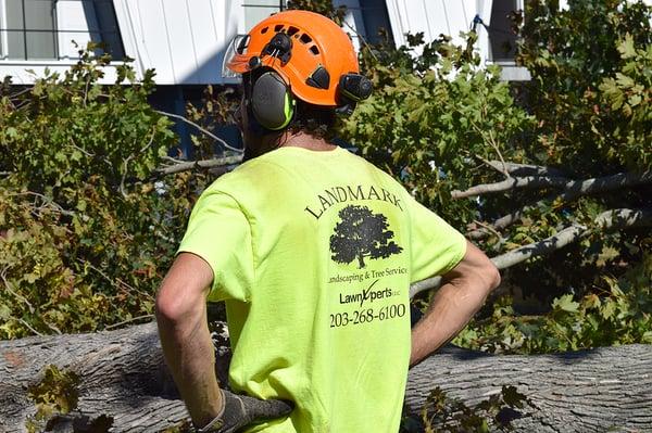 Landmark Landscaping & Tree Service