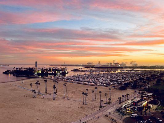 The Marina at sunset