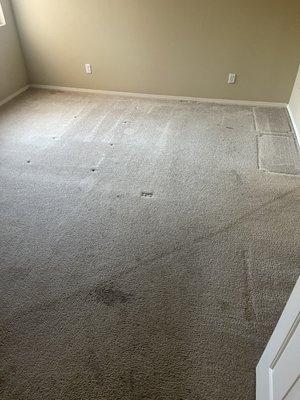 Dirty carpet