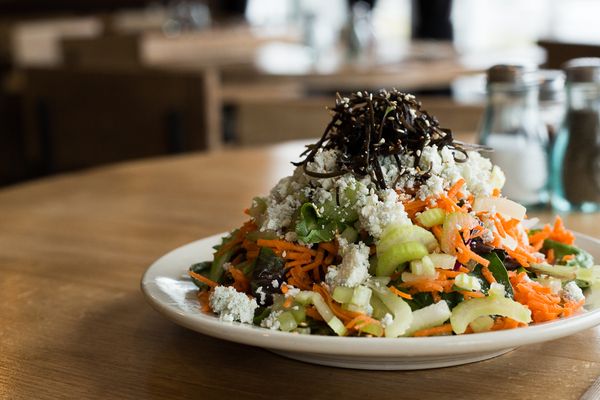 Organic salad with aged blue cheese from Great Hill Dairy in Mario, MA