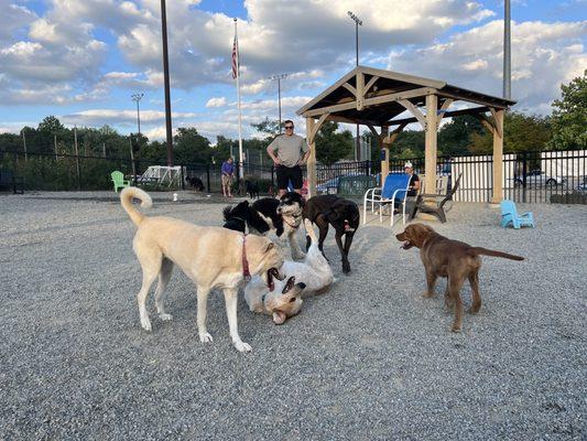 Glen Rock NJ Dog Park