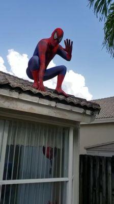 Spider-Man in full character on our roof!