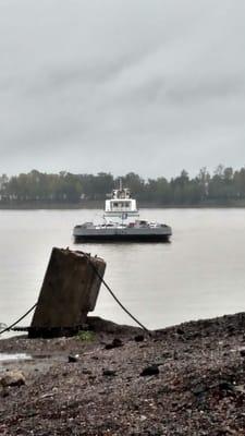 Here comes the ferry.