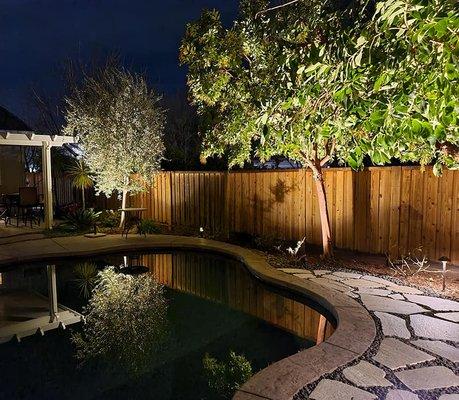 Professional lighting project we just completed! It totally transformed this beautiful backyard along with the flagstone patio.