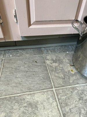 Dirty kitchen floor - this is after they mopped