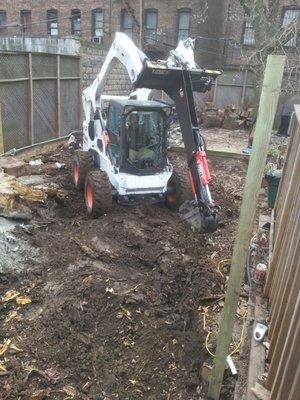 Tree stump removal