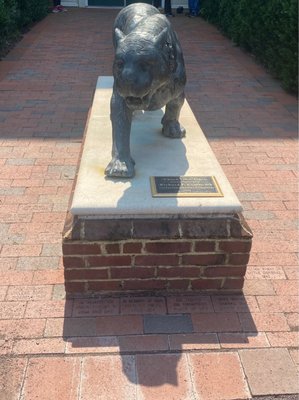 Hampden-Sydney College