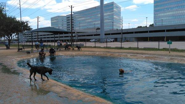 Some dogs spend a lot of time in the pond and some don't.  You can see the dog park's location relative to the business park.