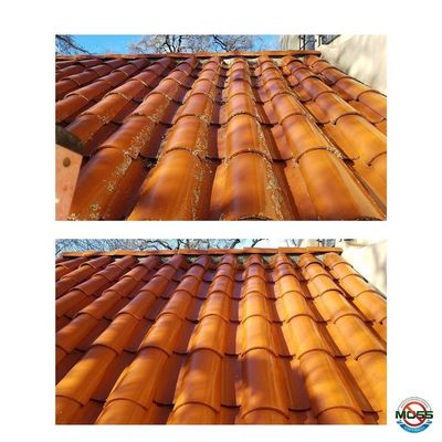 #RoofCleaning,#mossremoval,#pressurewashing,#softwashing,#guttercleaning,#leafguard,#gutterguards