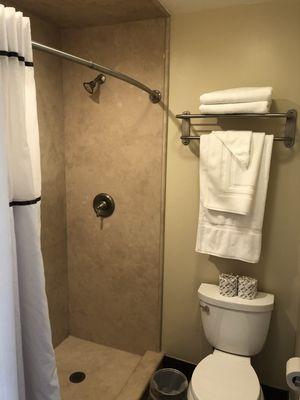 Guest room bathroom
Walk in Showers