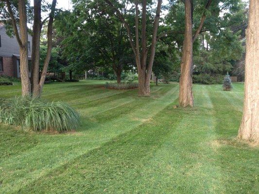 Lawn care service Northville, MI.