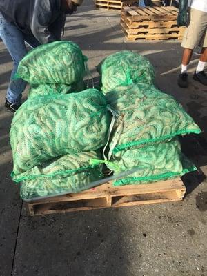 Unloading shrimp!!!   Look at the size of these..