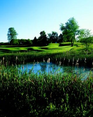 Blackthorn Golf Academy