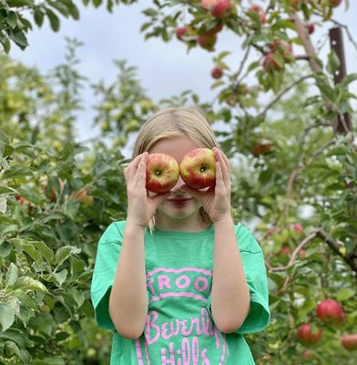 PYO apples including honey crisp