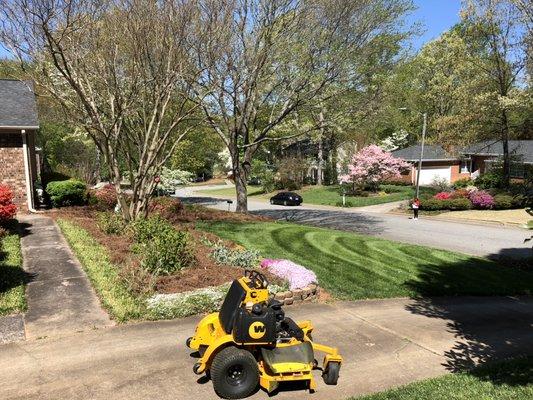 Nicey striped lawn with the wright demo mower