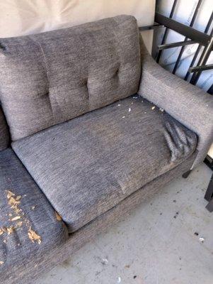 Black couch ruined by rat pee