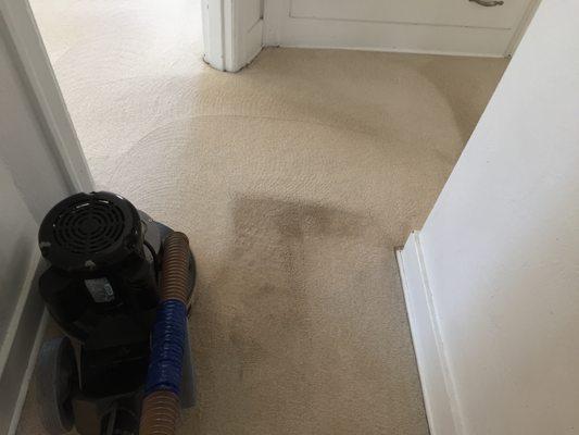 Residential carpet cleaning