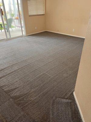 Master bedroom carpet.