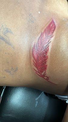 Feather cover up